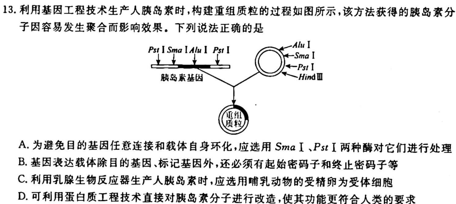 非凡吉创 2024届高三年级TOP二十名校调研考试四(243076D)生物