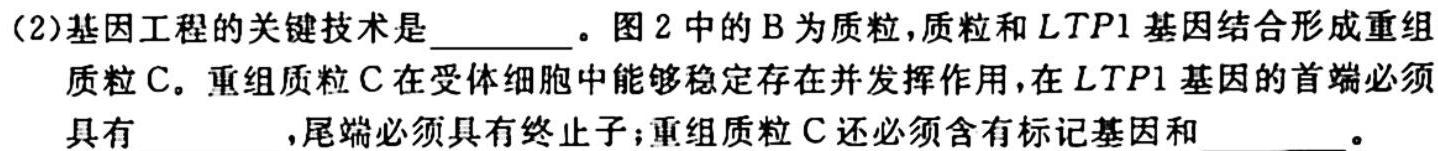 NT教育·2023-2024学年第一学期11月高二阶段测试卷生物