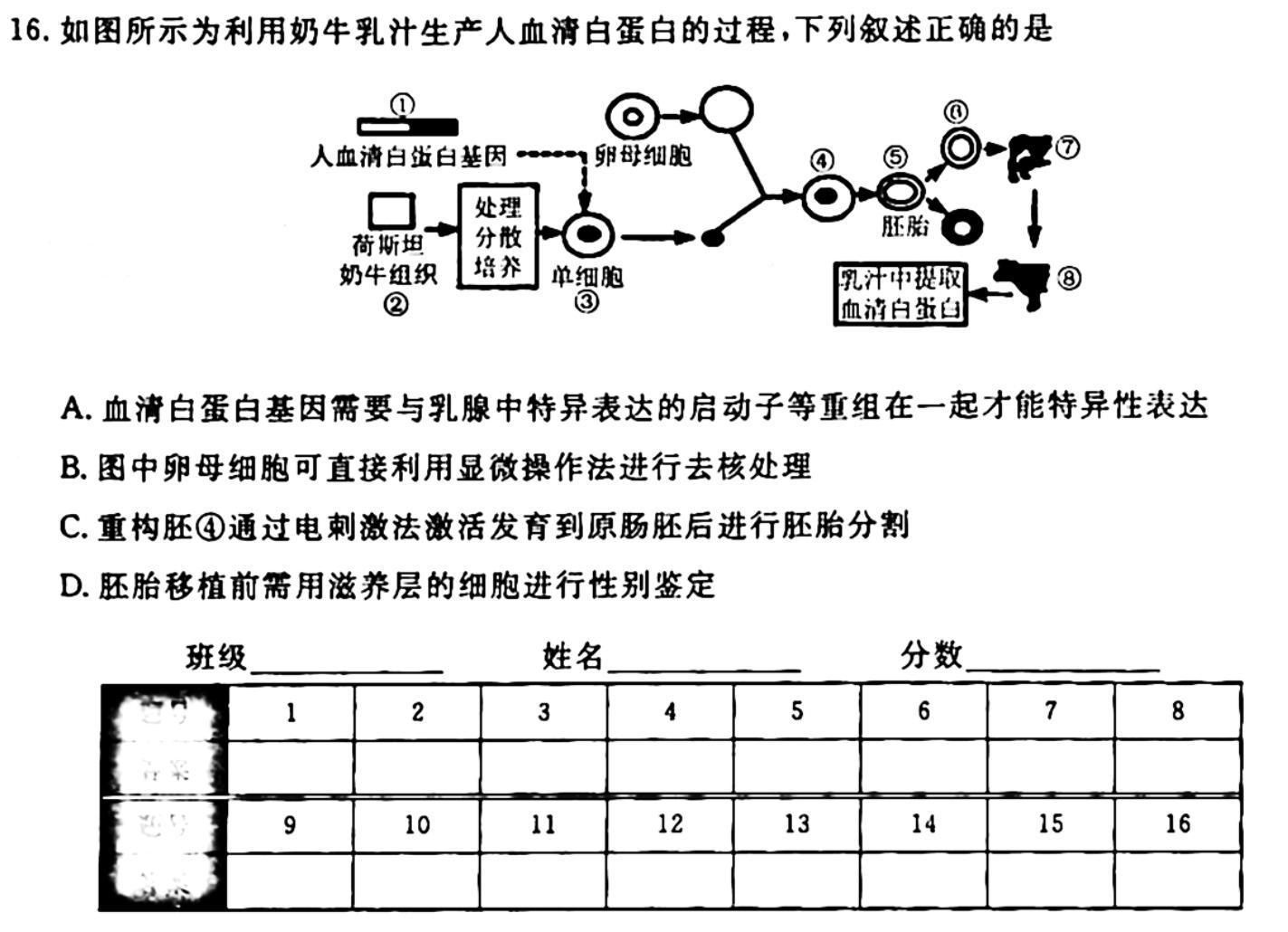 2023-2024学年度上学期凤城一中高二年级10月月考生物学试题答案