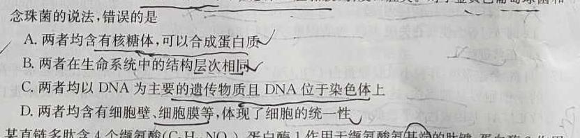 百师联盟2024届高三一轮复习联考(二)新高考生物学试题答案