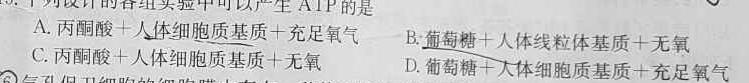 衡水金卷 广东省2024届高三10月大联考生物试卷答案