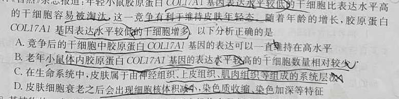 2023-2024学年广西高二年级10月阶段性考试(24-58B)生物学试题答案