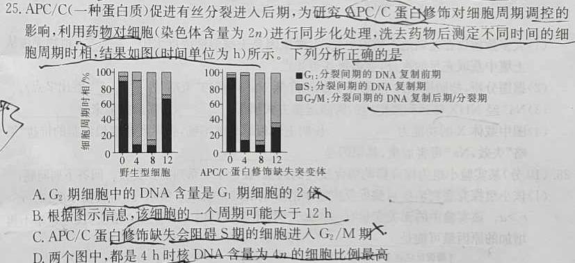 福建省泉州市2023-2024学年度高一年级上学期期中考（11月）生物