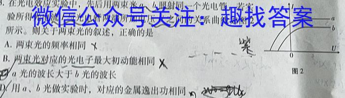 河北省2023-2024学年第一学期高二年级期中考试(242181Z)物理`