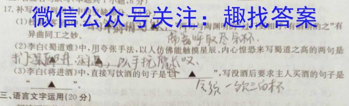 江西省2024届九年级期中综合评估2L R语文