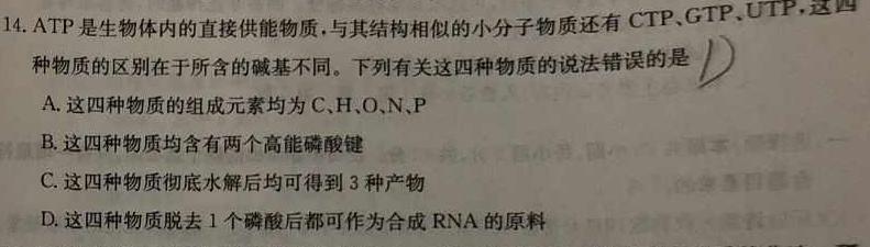 安徽省合肥市2024届九年级第一学期10月份阶段练习生物学试题答案