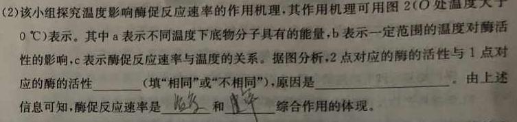 2023-2024学年洛阳强基联盟高二10月联考生物