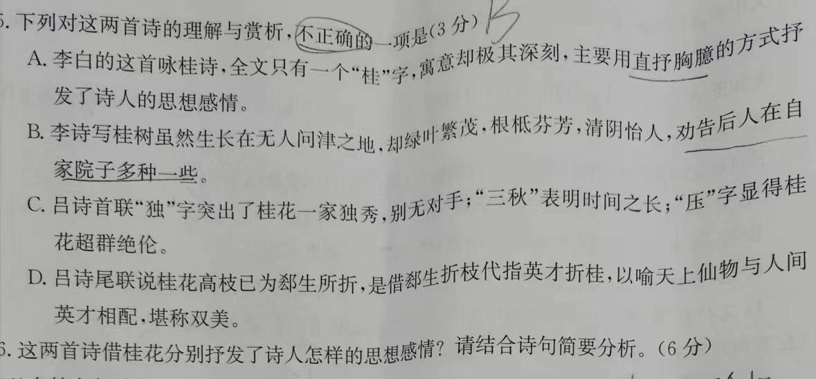 河南省顶级名校2023-2024学年高三上学期10月质量监测语文