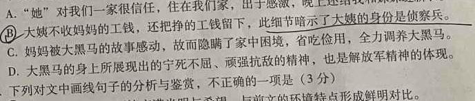 银川一中2024届高三第三次月考语文试卷 答案