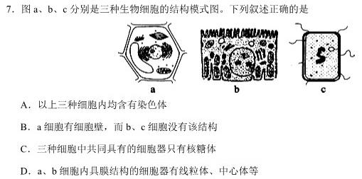 2023-2024学年辽宁省高二考试11月联考(24-125B)生物学试题答案