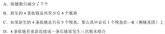 河北省2023~2024高二第一学期一调考试(24104B)生物