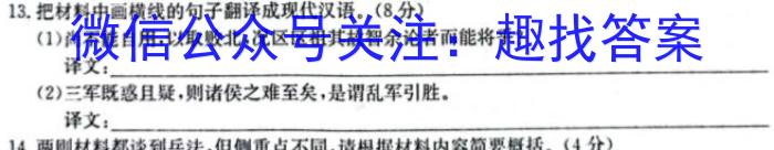 2024年衡水金卷先享题·分科综合卷(二)2/语文