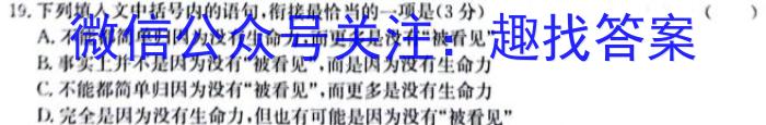 陕西省2023-2024学年度九年级上学期期中考试（11.13）语文