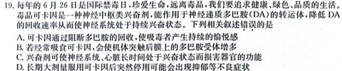 福建省泉州市2023-2024学年度高一年级上学期期中考（11月）生物学试题答案