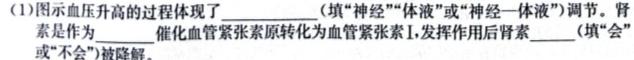 辽宁省2023~2024学年上学期高三年级10月考试(243159Z)生物