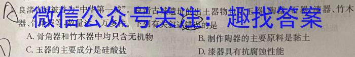 q陕西省2023-2024学年度第一学期九年级期中调研（Y）化学