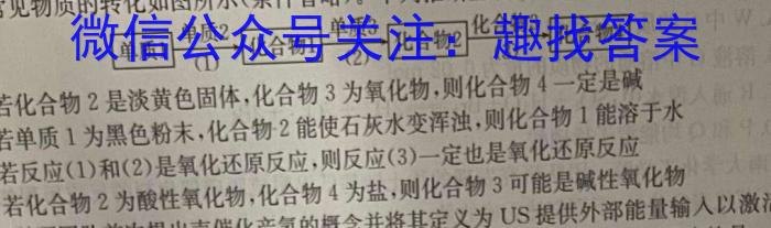 f河南省2023-2024学年度九年级大联考阶段评估卷（一）化学