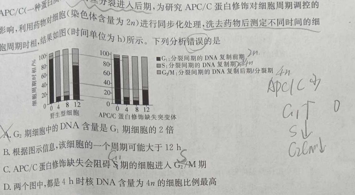 2023-2024学年江西省高二试卷10月联考(◆)生物学试题答案