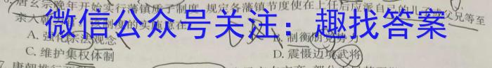 安徽省2023-2024学年度七年级阶段诊断历史