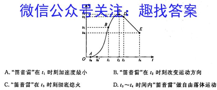 2024届全国高考分科模拟检测示范卷(5)物理`