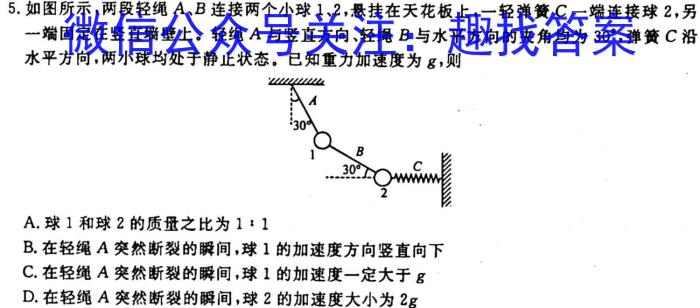 ［吉林大联考］吉林省2023-2024学年高二年级11月期中考试联考q物理