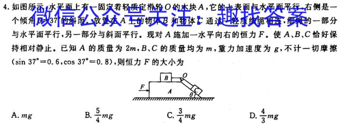 河南省2024届九年级期中综合评估 2L R物理试卷答案