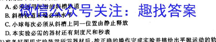 贵州省纳雍县2023-2024学年度九年级第一学期期中考试l物理