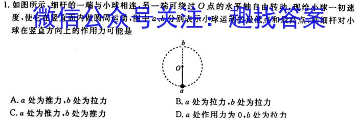 2024届广西普通高中学业水平选择性考试第一次摸底考l物理