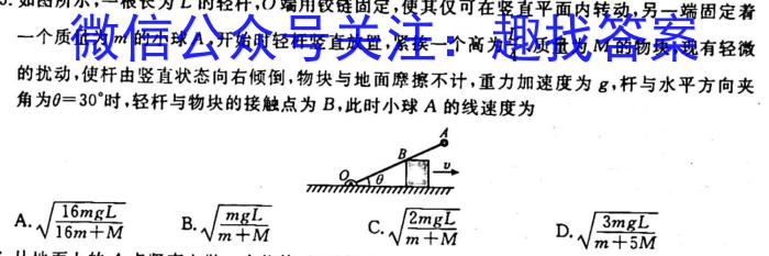 安徽省合肥市某校2023-2024学年度九年级第一学期期中考试物理`