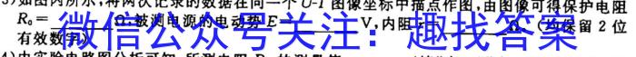 河南省2023-2024学年度九年级上学期期中综合评估【2LR】q物理