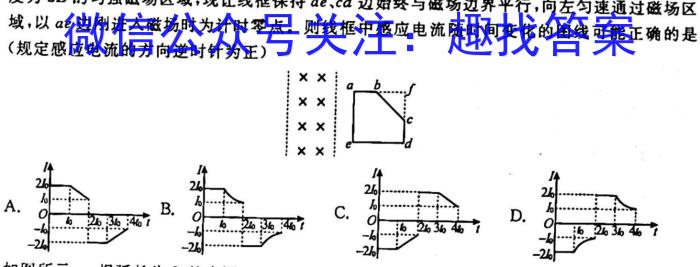 ［广东大联考］广东省2025届高二年级上学期11月联考f物理