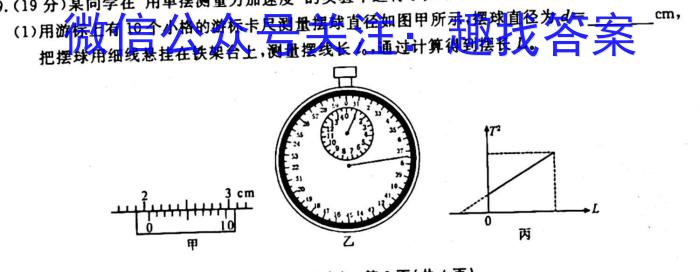 衡水金卷 广东省2024届高三10月大联考q物理