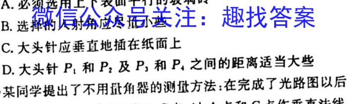 武汉市部分重点中学2023-2024学年度高二上学期期中联考f物理