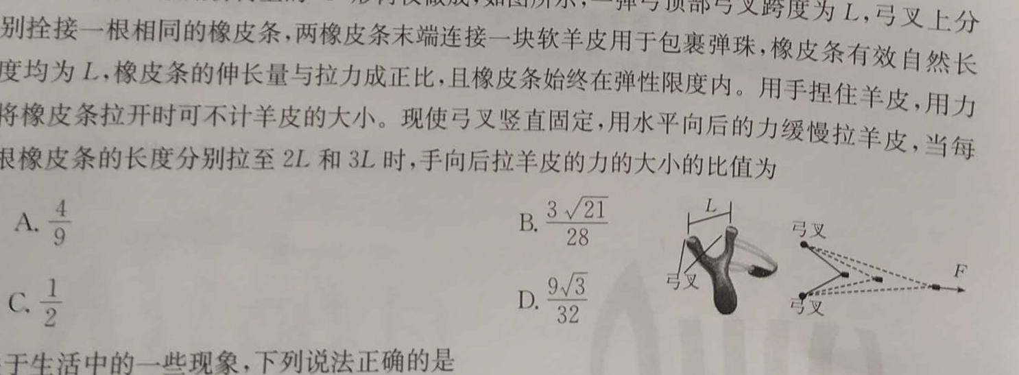 [今日更新]陕西省2023-2024学年度第一学期九年级阶段调研检测（QN）.物理试卷答案