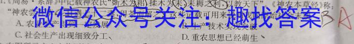 九师联盟 2024届高三10月质量检测历史试卷