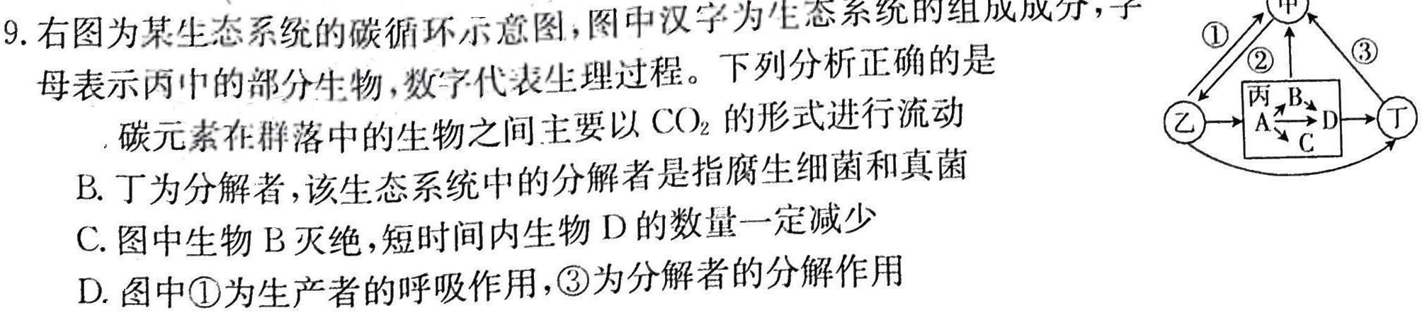 安徽省2023-2024学年度第一学期八年级期中教学质量检测生物学试题答案