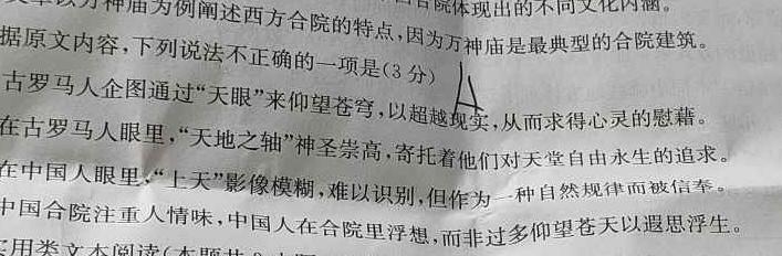 NT2023-2024学年第一学期11月高二阶段测试卷语文试卷 答案
