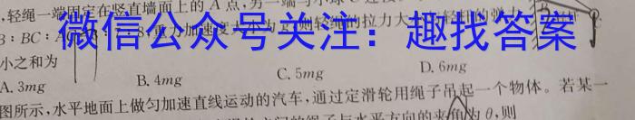 ʦ 2023~2024ѧһʮ´xԾ