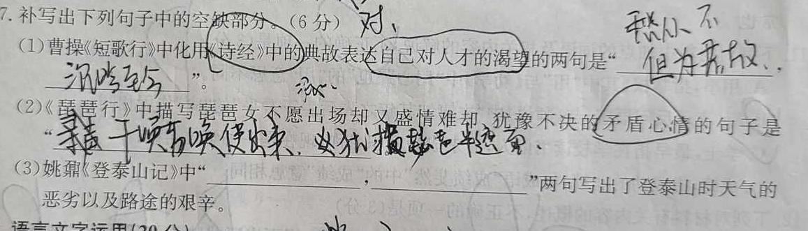 2024届山东省高三年级适应性联考（一）语文试卷 答案