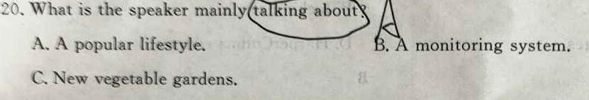 安徽省2023-2024学年度八年级阶段质量检测 英语
