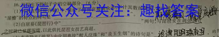 江西省2024届九年级初中目标考点测评（十二）语文