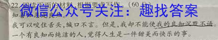 陕西省2023-2024学进度第一学期九年级期中教学检测A/语文