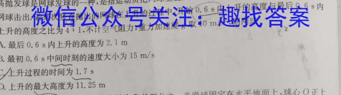 安徽省2023-2024学年七年级上学期教学质量调研一h物理