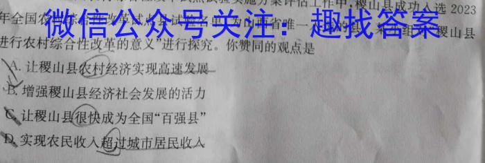 九师联盟 2024届高三11月质量检测(X)政治y
