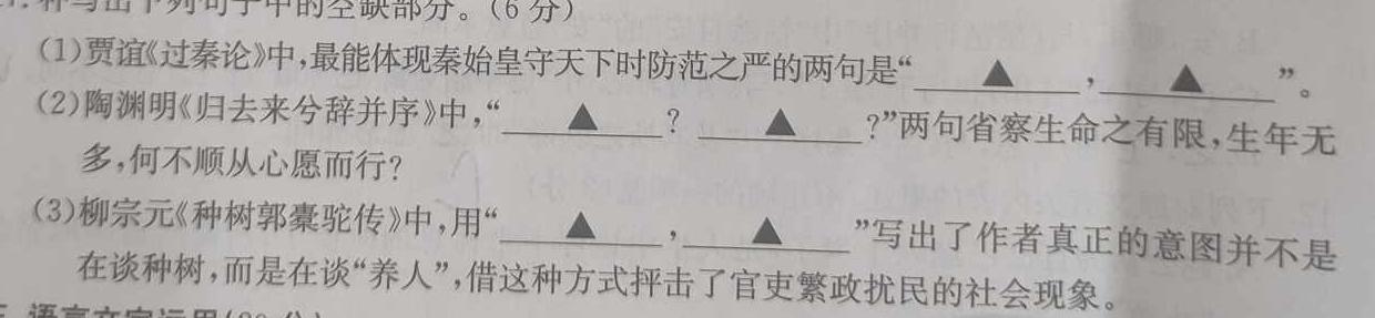 广东省2024届九年级期中综合评估 2L R语文试卷 答案