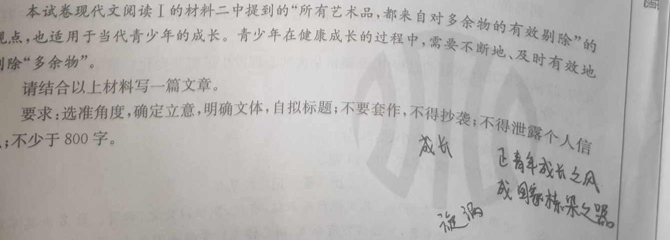 天一大联考2023-2024学年高中毕业班阶段性测试（二）语文试卷 答案