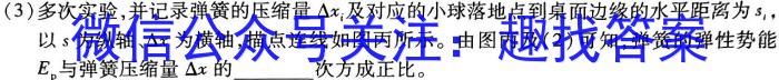 重庆市名校联盟2023-2024学年度高二第一期期中联合考试(高2025届)物理`