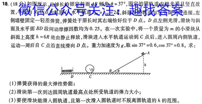 江西省九江市2024届九年级教学质量检测（一）l物理