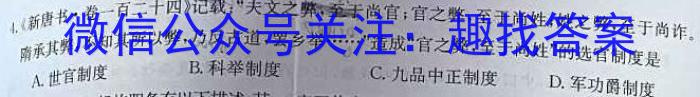江西省2023-2024学年度九年级高效课堂练习（一）历史试卷