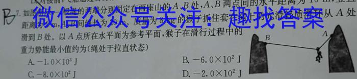 湖北省部分重点中学2024届高三第一次联考（11月）q物理